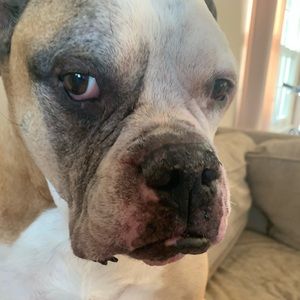 Meet your Posher, Denelle